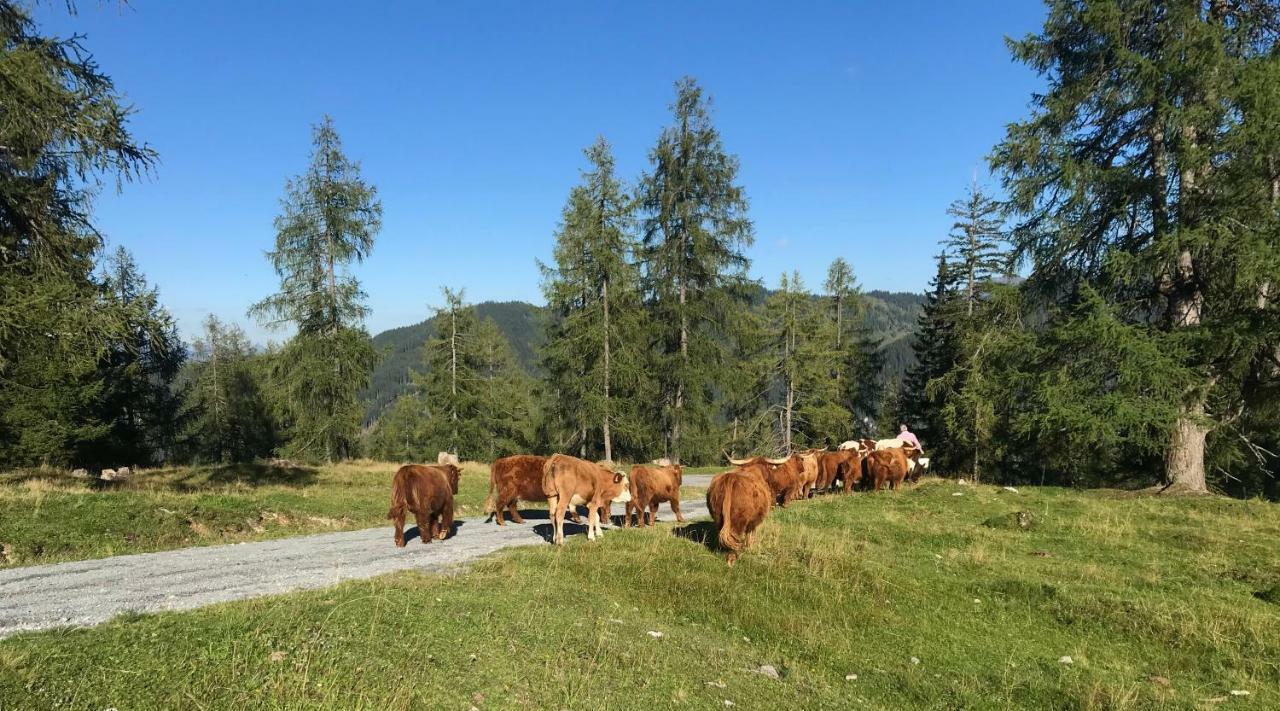 Appartementhaus Sky Lodge Altenmarkt im Pongau Eksteriør bilde